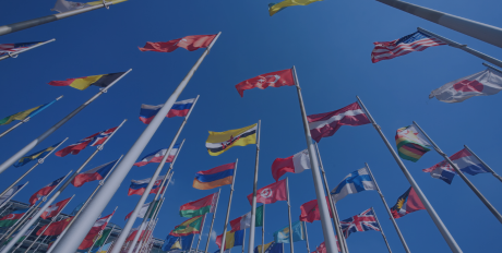 International Contractors