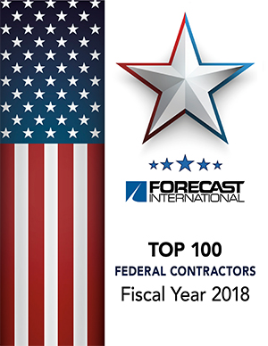 Top 100 Federal Contractors