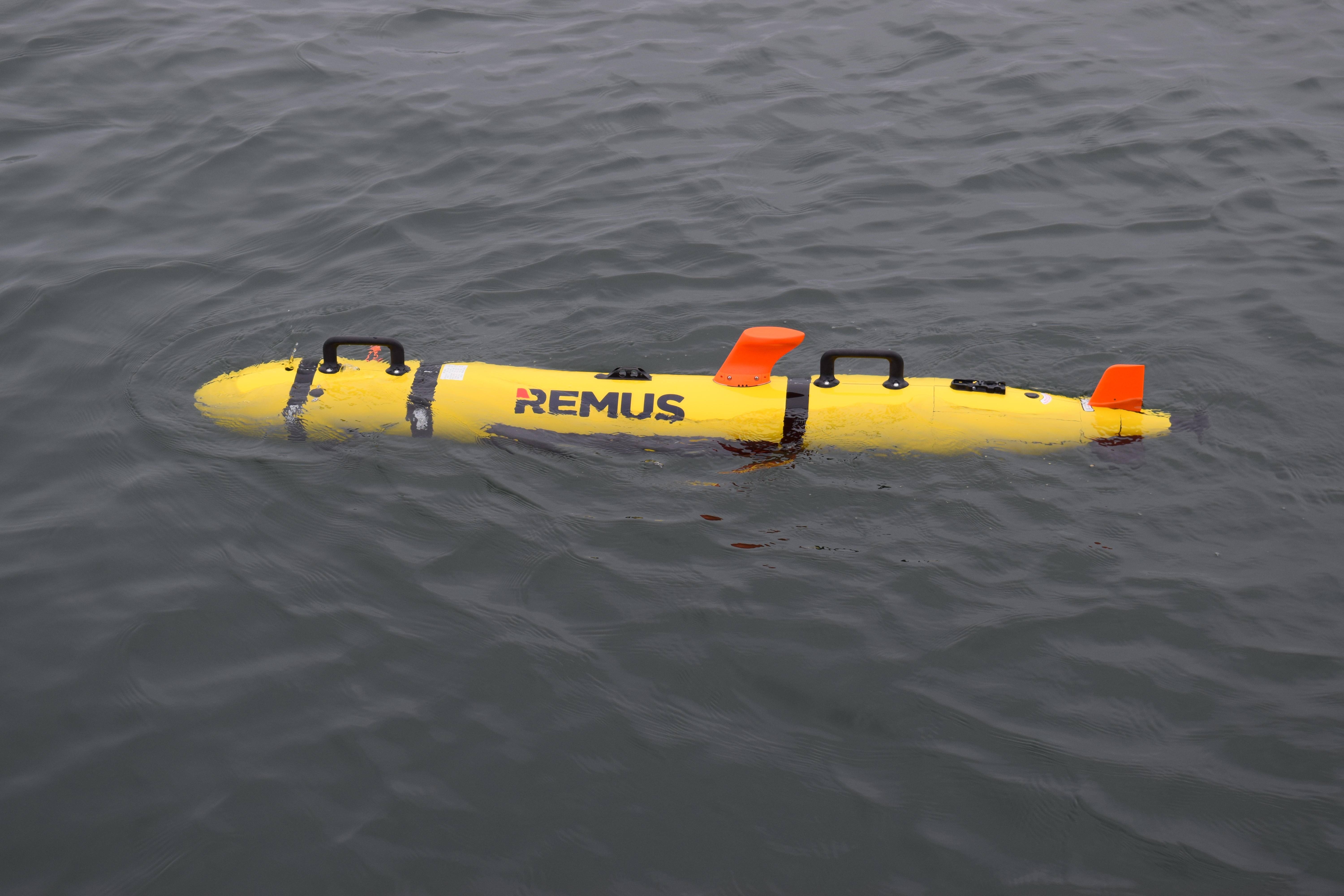 REMUS 100
