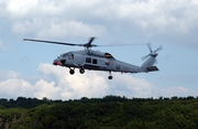 South Korea Approves Follow-on MH-60R Buy