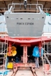 ARC-146 Punta Espada